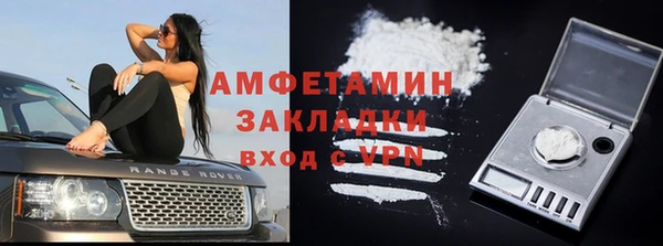 бошки Болотное