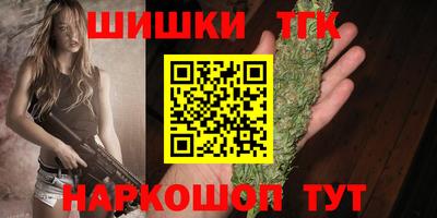 хмурый Кингисепп