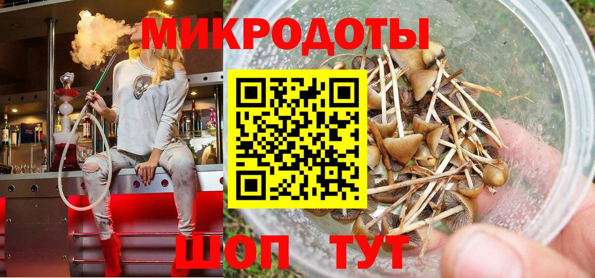 Холмск  Псилоцибиновые грибы MAGIC MUSHROOMS  Псилоцибиновые грибы MAGIC MUSHROOMS  Вход с VPN 