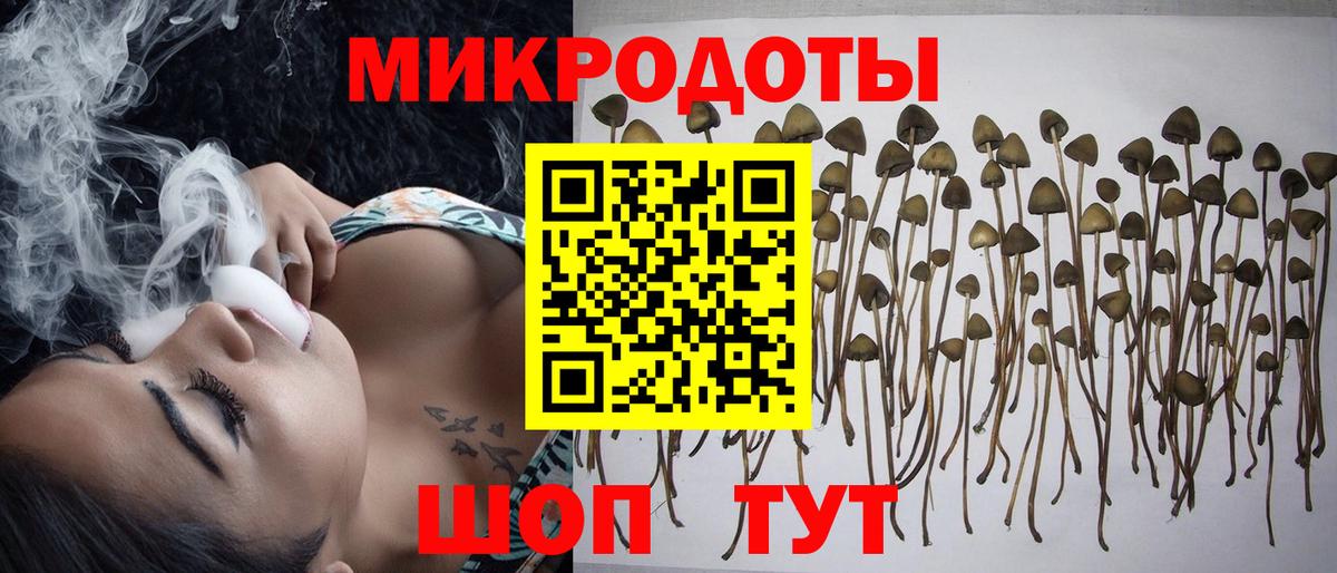 Псилоцибиновые грибы мухоморы Холмск