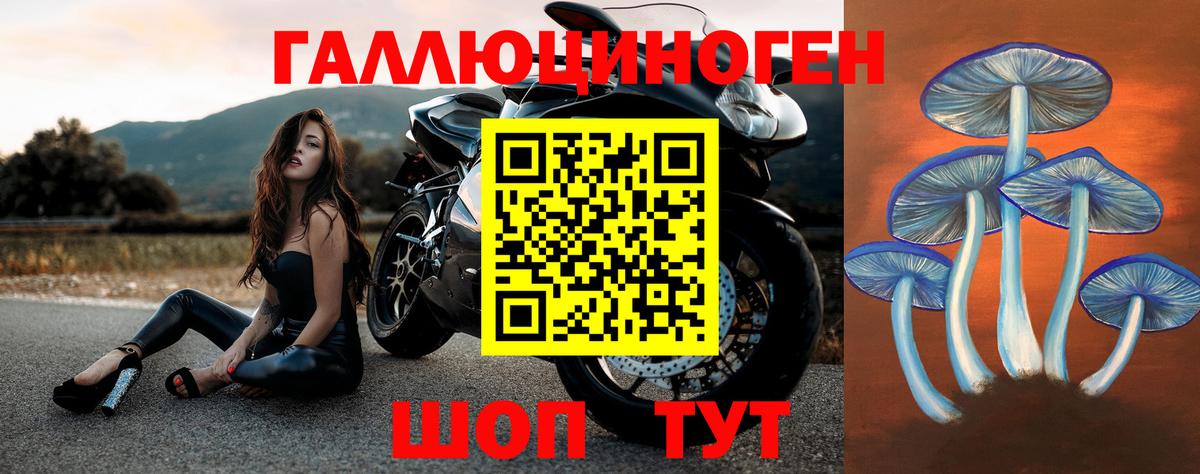 Альфа ПВП СК   Вход с VPN  Кокаин  Холмск  Меф   ГАШ  ГАШ 